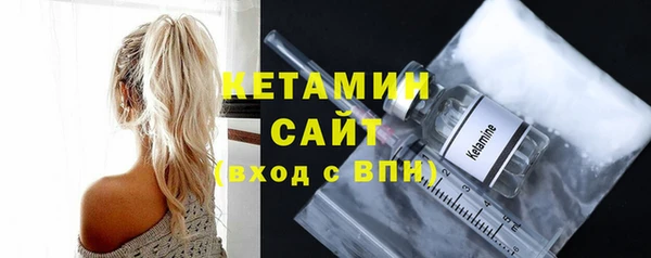 индика Горняк