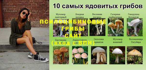 сатива Алексеевка