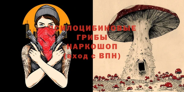 сатива Алексеевка