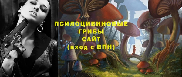 прущая мука Алзамай