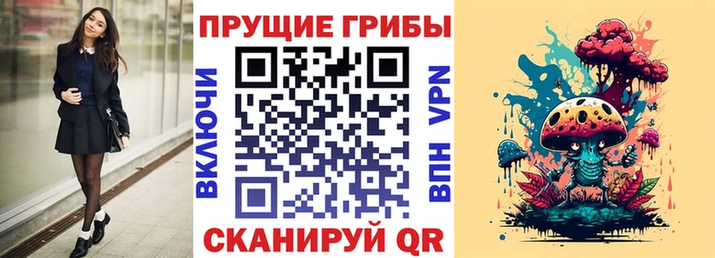 где купить   Лобня  мега вход  Псилоцибиновые грибы Cubensis 