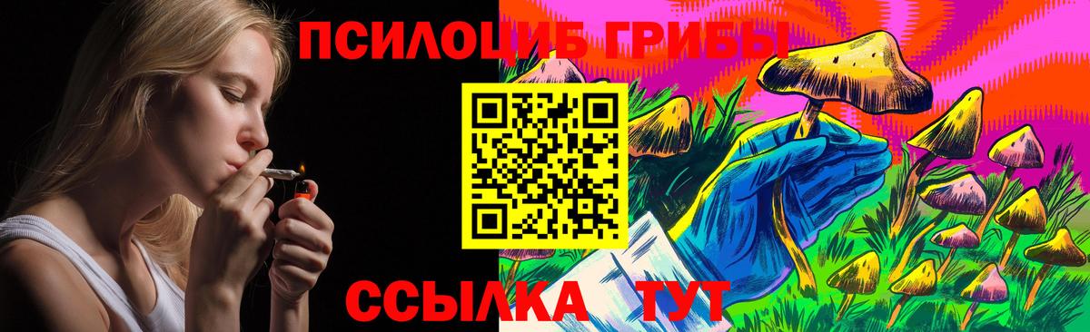 Галлюциногенные грибы Psilocybe Лобня