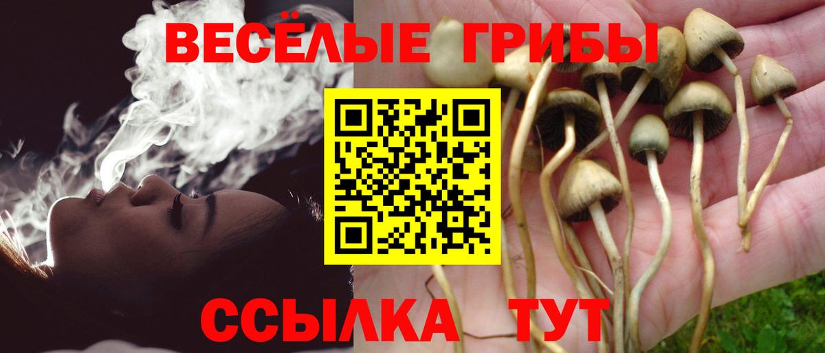 Галлюциногенные грибы Psilocybine cubensis  Вход с VPN  Лобня 